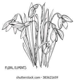 snowdrops,coloring books for children and adults, flowers,ink, pen, leaves, buds, handmade, black and white,floral elements