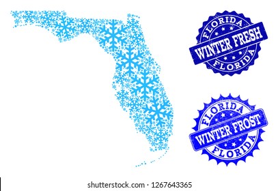 Snowed map of Florida State and scratched stamp seals in blue colors with Winter Fresh and Winter Frost captions. Mosaic map of Florida State is composed with ice elements.