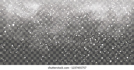 Snowfall. Falling snowflakes. Christmas snow. Vector illustration.