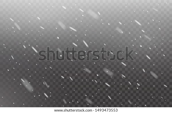Snowfall\
realistic on transparent backdrop. Christmas falling snowflakes.\
Defocused snow on dark template. Different snow flakes. Winter\
texture with snowstorm. Vector\
illustration.