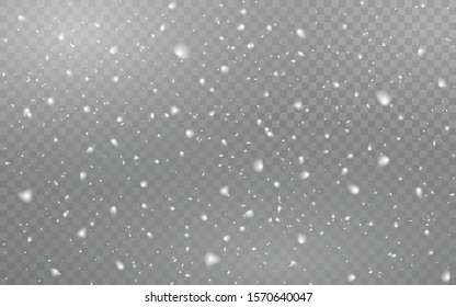 Snowfall realistic on transparent background. Christmas falling snowflakes. Winter texture with defocused snow. Realistic snowstorm. Blizzard texture. Vector illustration.
