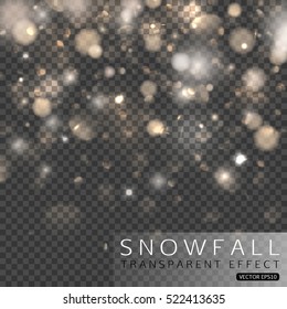 Snowfall transparent effect vector illustration