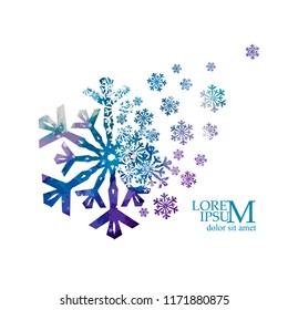 Snowflake abstract  mosaic. Vector