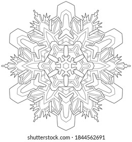 Snowflake black and white vector illustration