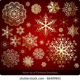 Vector de Navidad Snowflake