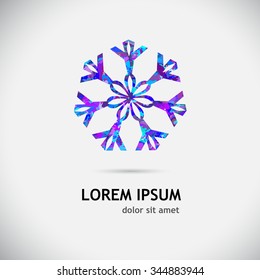 Snowflake colorful logo. Vector