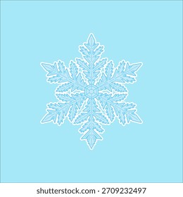 snowflake drawing artwork handmade illustration