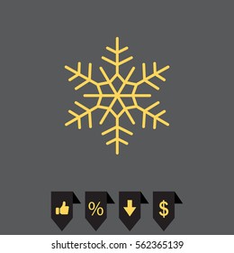 Snowflake flat icon