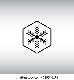 Snowflake flat vector icon. Isolated frost proof vector sign. Snowflake hexagon badge.