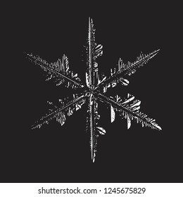 Snowflake glittering on black background. Vector illustration based on macro photo of real snow crystal: complex stellar dendrite with fine hexagonal symmetry, ornate shape and six thin, elegant arms.