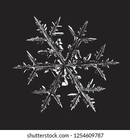 Snowflake glittering on black background. Vector illustration based on macro photo of real snow crystal: elegant stellar dendrite with hexagonal symmetry, complex ornate shape and intricate details.