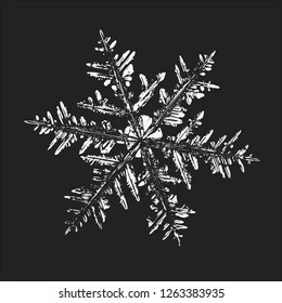 Snowflake glittering on black background. Vector illustration based on macro photo of real snow crystal: beautiful stellar dendrite with fine hexagonal symmetry, ornate shape and complex details.