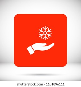 snowflake in the hand icon
