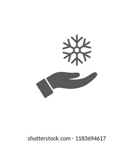 snowflake in the hand icon
