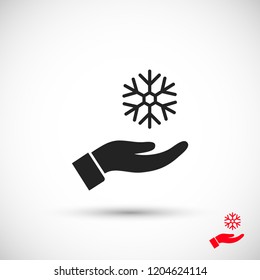 snowflake in the hand icon