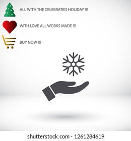 snowflake in the hand icon