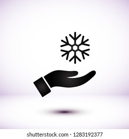 snowflake in the hand icon