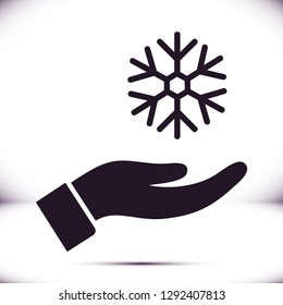 snowflake in the hand icon