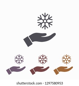 snowflake in the hand icon