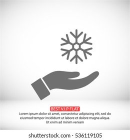 snowflake in the hand icon