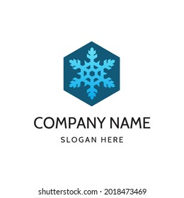 Snowflake Hexagon Logo Design Template