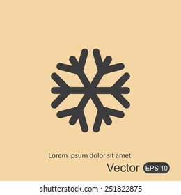 snowflake icon