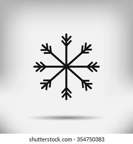 snowflake icon