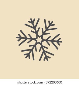 snowflake icon