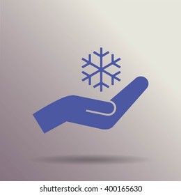 Snowflake icon