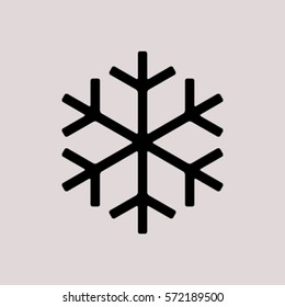 Snowflake icon
