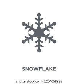 Snowflake icon. Snowflake design concept from  collection. Simple element vector illustration on white background.