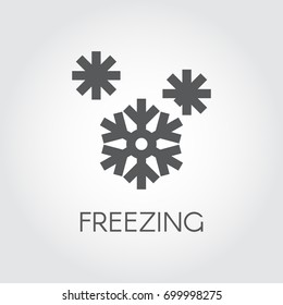 Snowflake icon in flat design. Symbol of freezing and seasons weather concept. Black simple pictogram. Vector illustration