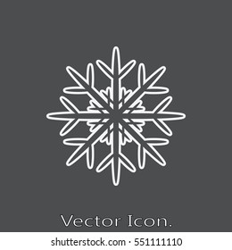 Snowflake icon isolated sign symbol and flat style for app, web and digital design. Vector illustration.