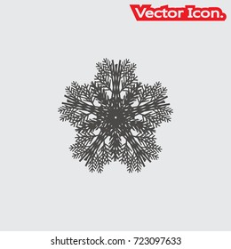 Snowflake icon isolated sign symbol and flat style for app, web and digital design. Vector illustration.
