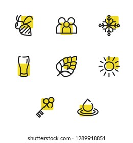 Snowflake icon with key, bee and water symbols. Set of light, beer glass, sunlight icons and brew concept. Editable vector elements for logo app UI design.