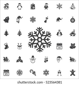 Snowflake Icon. New Year set of icons. Christmas holidays