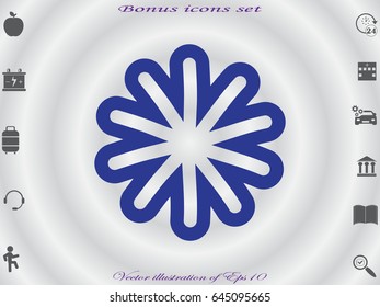 snowflake icon, vector illustration eps10