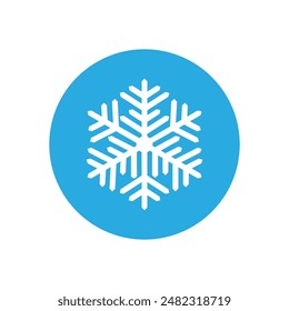 Snowflake icon vector. Winter illustration sign. Cold illustration symbol. 