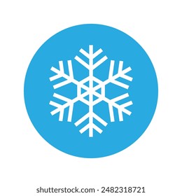 Snowflake icon vector. Winter illustration sign. Cold illustration symbol. 