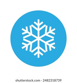 Snowflake icon vector. Winter illustration sign. Cold illustration symbol. 