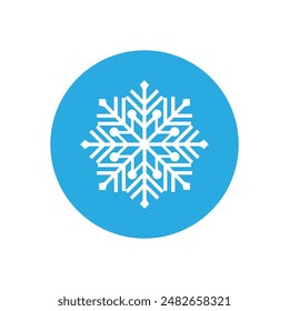 Snowflake icon vector. Winter illustration sign. Cold illustration symbol. 