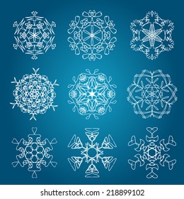 Snowflake icon. Winter theme. Winter snowflakes of different shapes.