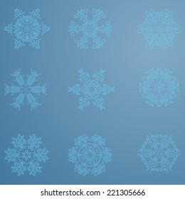 Snowflake icon. Winter theme. Winter snowflakes of different shapes.