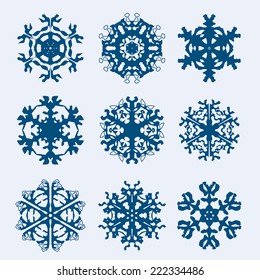 Snowflake icon. Winter theme. Winter snowflakes of different shapes.