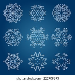 Snowflake icon. Winter theme. Winter snowflakes of different shapes.