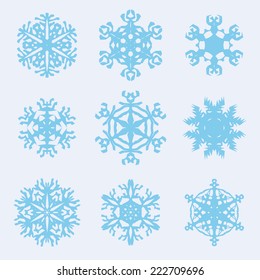 Snowflake icon. Winter theme. Winter snowflakes of different shapes.