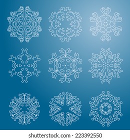 Snowflake icon. Winter theme. Winter snowflakes of different shapes.