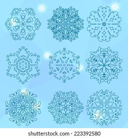 Snowflake icon. Winter theme. Winter snowflakes of different shapes.