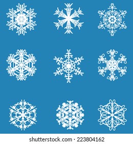 Snowflake icon. Winter theme. Winter snowflakes of different shapes.