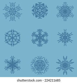 Snowflake icon. Winter theme. Winter snowflakes of different shapes.